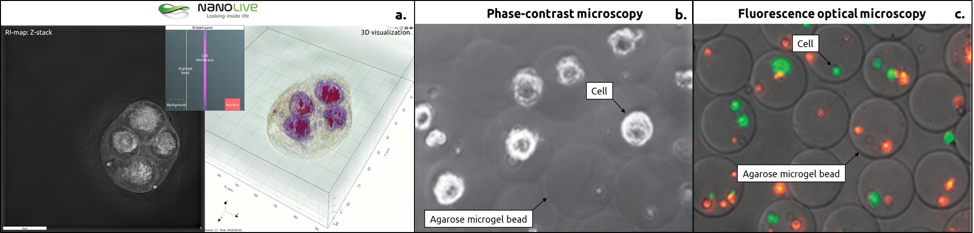 Visualizations of Microgel Beads in Multiple Modes of Illumination